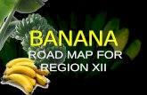 BANANA - rfu12.da.gov.phrfu12.da.gov.ph/images/citizen2015/BANANA ROAD MAP.pdf · RGM Feb 4, 2006 VISION Region 12 as a leading banana product exporter contributing towards food security