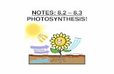NOTES: 8.2 – 8.3 PHOTOSYNTHESIS! - West Linn€¦ · and Ingenhousz reveal about how plants grow? – What is the overall reaction for photosynthesis? ... only weighed 57 g less