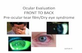 Ocular Evaluation FRONT TO BACK Pre-ocular tear · PDF fileCorneal epithelial disorders or ... in the presence of normal lacrimal secretory function ... Ocular Evaluation FRONT TO