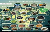 Creatures of the rainforest - What we did - Sky … Rainforest Rescue WORKING TOGETHER TO HELP SAVE 1 BILLION TREES It is believed that 10% of the world’s species of plants and animals
