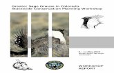 Greater Sage Grouse in Colorado - CPSG Sage Grouse... · of oil and natural gas development in selected regions of Colorado may have very significant negative ... Grouse habitat to