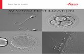 In VItro Fertilization - Leica Microsystems DMi8... · Courtesy of: C. Mehnert, Zentrum für In vitro Fertilization, ... For best analysis 10 Hamilton Thorne IMSI-StrictTM Software: