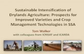 Sustainable Intensification of Drylands Agriculture ... Intensification of Drylands Agriculture: Prospects for Improved Varieties and Crop ... Prospects for Genetic Improvement . 1.
