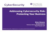 Addressing Cybersecurity Risk: Protecting Your Business Docs/About/Organization/NAFC... · • Managing Director • Business Advisory Services Services • Grant Thornton LLP CyberSecurity