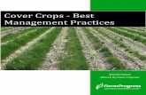 Cover Crops ‐ Best Management Practices€¦ · 2 | Cover Crops – Best Management Practices It Begins With You: Incorporating Cover Crops Cover crops are grasses, legumes or small