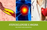 ATEROSCLEROSE E ANGINA - WordPress   DA AULA: Fisiopatologia e Dietoterapia - Aterosclerose Fisiopatologia da Angina Vdeo - Aterosclerose Atividade