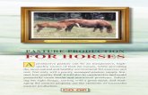 PASTURE PRODUCTION FOR HORSES - Tennessee … · Fertilize according to soil test, plant at the proper time, plant ... What pasture program is best? For most horse owners in Tennessee,