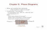 Chapter 9: Phase Diagrams - University of Washingtoncourses.washington.edu/mse170/lecture_notes/RinaldiF09/Lecture16...Sucrose/Water Phase Diagram Pure Sugar emperature (°C) 0 20