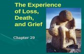 [PPT]PowerPoint Presentation - ¢”œ£ viewThe Experience of Loss, Death, and Grief Chapter 29 The five categories of loss Necessary loss â€“ loss that is the result
