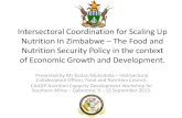 The Food and Nutrition Security Policy for Zimbabwe in the ... · of Economic Growth and Development. ... (MTP) –The Millennium Development Goals ... Food and Nutrition Security