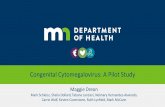 Congenital Cytomegalovirus: A Pilot Study - APHL · Congenital Cytomegalovirus: A Pilot Study Maggie Dreon ... * Advocates have dubbed CMV the “birth defects virus ... PowerPoint,