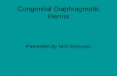 Congenital Diaphragmatic Hernia - Creighton … Diaphragmatic Hernia ... Embryology • Lung Formation ... Questions? Title: Congenital Diaphragmatic Hernia Author:Published in: Indian