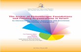 The Sector of Philanthropic Foundations and Funding ...in.bgu.ac.il/en/fom/Ictr/Site Assets/Philanthropy2006.pdf · The Sector of Philanthropic Foundations and Funding Organizations