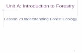 Lesson 2:Understanding Forest Ecology - …afghanag.ucdavis.edu/educational-materials/files/...5 What is forest ecology? Ecosystems can vary in size from a few hundred hectares to