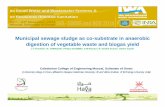 Municipal sewage sludge as co-substrate in anaerobic ... · Municipal sewage sludge as co-substrate in anaerobic digestion of vegetable waste and biogas yield J V Thanikal1, M. TORRIJOS2,