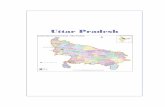 M-23 Uttar Pradesh - Kalpavrikshkalpavriksh.org/images/CCA/Directory/M-23 Uttar Pradesh.pdf · uttar pradesh Uttar Pradesh ... khair is a sign for Lord Brahma ... In Padma Puranam