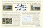 Flora Aegaea of 1944. 3316 species, colour photographs … Strid Atlas of the Aegean Flora Part 1: Text & Plates Arne Strid Atlas of the Aegean Flora Part 2: Maps The Aegean archipelago