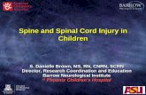 Spine and Spinal Cord Injury in Children - Oregon Health ... · Spine and Spinal Cord Injury in Children S. Danielle Brown, MS, RN, CNRN, SCRN Director, Research Coordination and