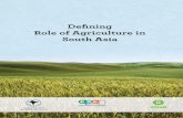 Defining Role of Agriculture in South Asiacansouthasia.net/pdf_files/Defining Role of Agriculture...Role of Agriculture in South Asia ii Introduction 1 Context 1 Agriculture’s role