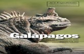 Galápagos - Betchart Expeditions 09 12.pdf · of a cruise or tour. Experience Galápagos panoramically: on a voyage linking island to island, awaking to fresh vistas and discoveries