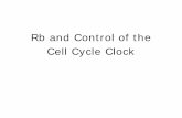 Rb and Control of the Cell Cycle Clock - Alvin J. Siteman ... 8.4 Alteration of the cell cycle clock in human tumors A plus sign indicates that this gene or gene product is altered