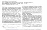 Drug and Hormone Sensitivity of Estrogen Receptor-positive ...cancerres.aacrjournals.org/content/canres/42/12/5147.full.pdf · Drug and Hormone Sensitivity of Estrogen Receptor-positive