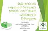 National Public Health Laboratory tocarpha.org/Portals/0/docs/MEETINGS/CHIKV/S5P2 - Sew-Atjon.pdf · National Public Health Laboratory to Chikungunya ... Follows a similar pattern
