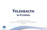 Florida Telehealth Advisory Council - myfloridaeqro.com Telehealth... · the use and accessibility of telehealth services by ... expanding telehealth services?” • Education, ...