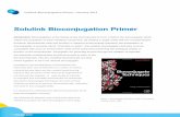Solulink Bioconjugation Primer Bioconjugation Primer—January 2013 ... Conjugation and immobilization of biomolecules has ... PBS for two hr ...