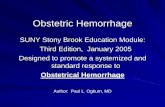 Obstetrical Hemorrhage - Paul Ogburn, MD, Stony Brook ... · • Methergine 0.2 mg IM, PGE ... 4. and treat drug addiction 5. ... Paul Ogburn, MD, Stony Brook Education Module January