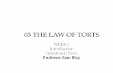03 THE LAW OF TORTS - sydney.edu.ausydney.edu.au/lec/subjects/torts/Summer 2016-17/LEC Torts Summer... · may be strict • Fault liability: the failure to live up to a standard through