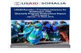 USAID/Somalia—Transition Initiatives for Stabilization ...pdf.usaid.gov/pdf_docs/PA00M4DS.pdf · USAID/Somalia—Transition Initiatives for Stabilization (TIS) Quarterly Progress