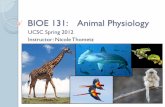 BIOE 131: Animal Physiology - DPHU · BIOE 131: Animal Physiology UCSC Spring 2012 ... result in an automatic ZERO on the exam ... Integrative Physiology