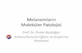 Melanomların Moleküler Patolojisi - turkpath.org.tr · V-Akt Murine Thymoma Viral Oncogene Homolog •AKT1 • AKT2 • AKT3* AKT aktivasyonu melanomların yaklaşık %60 [ında