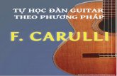 Carulli - Virginia Nguyen · 2016-07-22Carulli - Virginia Nguyen