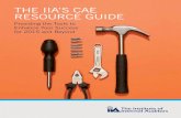 THE IIA’S CAE RESOURCE GUIDE Documents/2015-CAE...THE IIA’S CAE RESOURCE GUIDE Providing the Tools to Enhance Your Success for 2015 and Beyond
