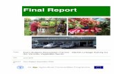 FSA-FAO Final Report June2010 RevCD2 - Food and …€¦ ·  · 2010-12-29Final Report – Farm Support Association ... 3 Overview of the Vanuatu Vegetable Supply Chain ... 6 Implementation