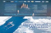 A Year in the Life of Bowhead Whales - UAF home · mm A l lA bor A tory Lara Horstmann-Dehn University of Al A sk A fA irb A nks Wieslaw Maslowski nA v A l p ... Taġiumiitchuurut,