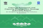 for Strengthening Panchayati Raj Institutions in … Strengthening Panchayati Raj Institutions in Jharkhand Capacity Assessment and Capacity Development Strategy (CA-CDS) Report Ministry