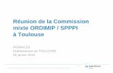 Réunion de la Commission mixte ORDIMIP / SPPPI à Toulouse · Flux d’ion Perchlorate : 2 voies de transfert vers la Garonne ... TRAITEMENT DES EAUX SUR RESINES 5 FILTRES SUCCESSIFS