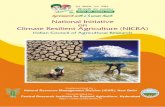 National Initiative on Climate Resilient Agriculture … · National Initiative on Climate Resilient Agriculture ... (2010-2039) climate change, eg ... on Climate Resilient Agriculture