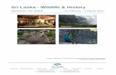 Sri Lanka - Wildlife & History - Naturetrek Wildlife Holidays Egret, ... We visited the Parakrama Samudra or Parakrama Ocean, which was built ... Sri Lanka - Wildlife & History Tour