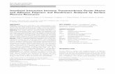 Interfacial Interaction between Transmembrane …bioforcenano.com/wp-content/uploads/ProCleaner-Papers/...RESEARCH PAPER Interfacial Interaction between Transmembrane Ocular Mucins