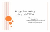 image processing using labview - 123seminarsonly.com · Image Processing using LabVIEW By, Sandip Nair sandipnair06@yahoomail.com sandipnair.hpage.com