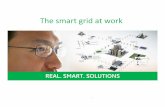 The smart at work - IEEEewh.ieee.org/r3/atlanta/ias/Smart Grid.pdf · greenhouse gas emissions for which ... efficiency with $200 million smart grid initiative Scope ... IEEE March