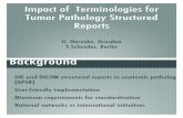 Impact of Terminologies for Tumor Pathology Structured · PDF fileImpact of Terminologies for Tumor Pathology Structured Reports G. Haroske, ... structure terminology ... data Terminologies!