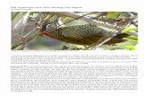 NW Argentina June 2015 Birding Trip Report - CloudBirders · NW Argentina June 2015 Birding Trip Report by Nathan Terzaghi Colaptes rubiginosus Golden-olive Woodpecker, Rio Los Sosa