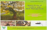 Insect Pests of - ICAR - Central Coastal Agricultural … No.28.pdf ·  · 2013-01-11Insect Pests of Cashew and their Management Cashew (Anacardium occidentale L.,Anacardiaceae)