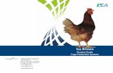 Isa Brown - frabopoultry.comfrabopoultry.com/.../isa_brown_product_guide_cage... · Isa Brown Product Guide ... housing and constant attention to the ... Hisex, Bovans and Dekalb.