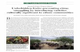 Research Project Progress Report Unforbidden fruits ...swfrec.ifas.ufl.edu/hlb/database/pdf/21_Karp_12.pdf · Unforbidden fruits: preventing citrus smuggling by introducing varieties